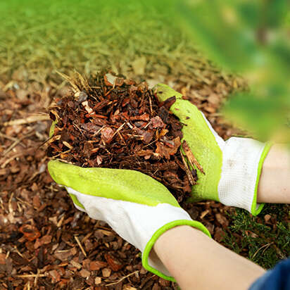 rindenmulch bubblenavibild